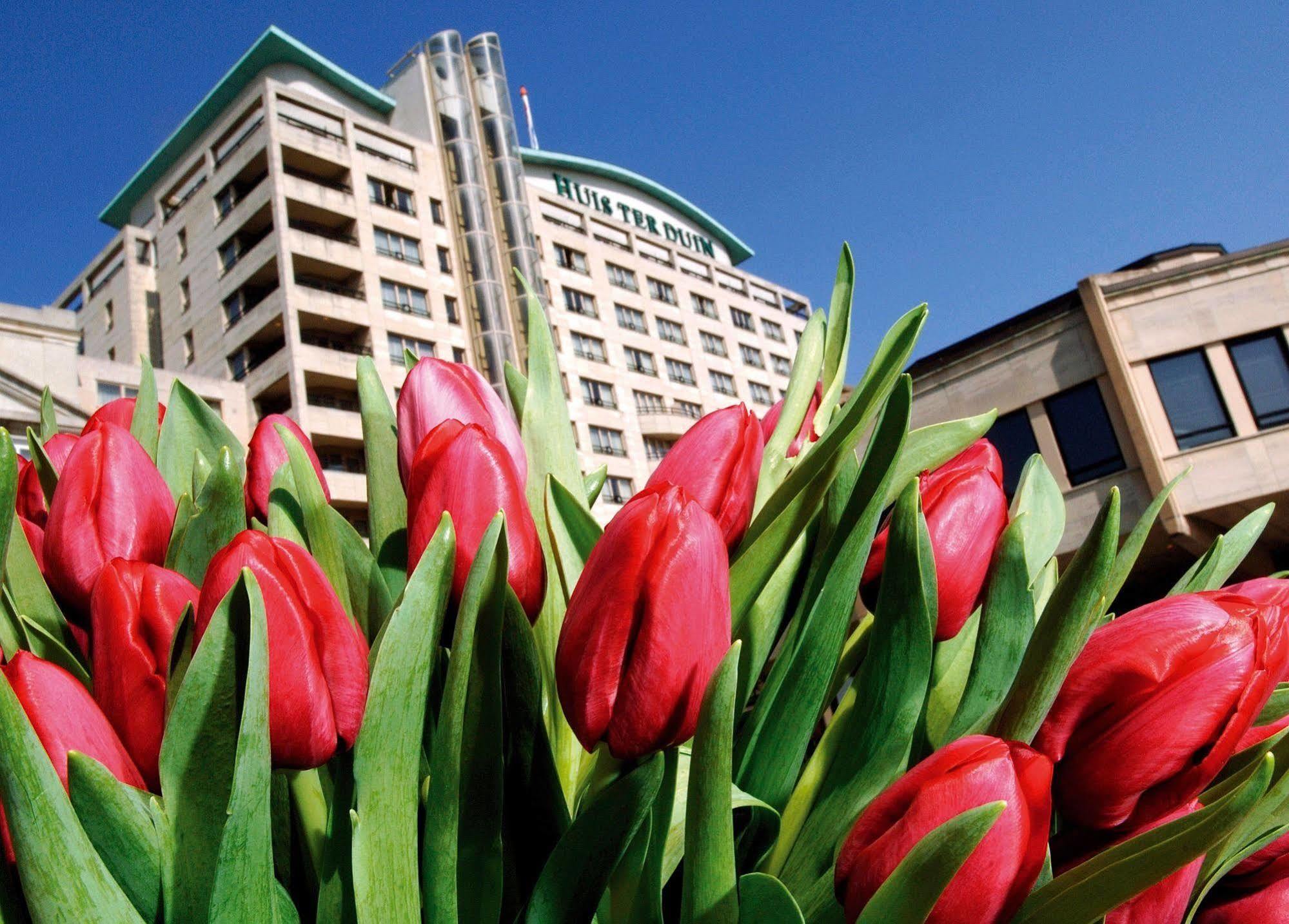 Grand Ter Duin Hotel Noordwijk